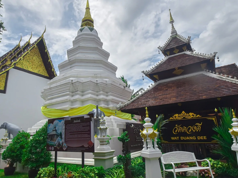hongthong hongthong