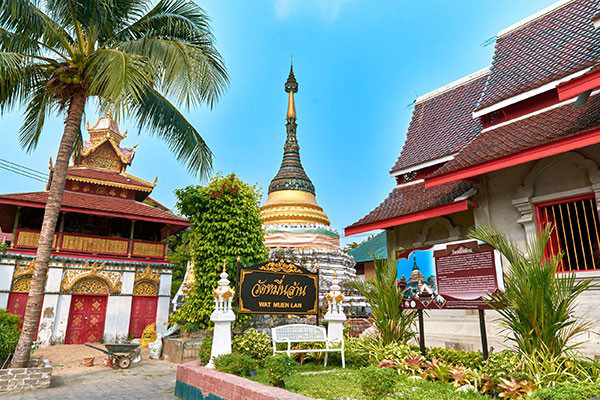 hongthong hongthong