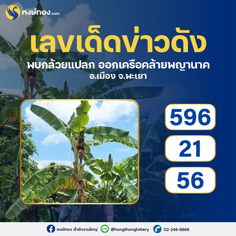 เลขเด็ดข่าวดัง_งวดประจำวันที่_16_กันยายน_2566